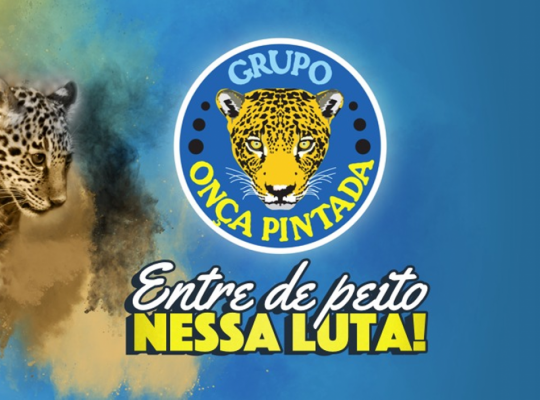 grupo_onca_pintada_em_bodoquena_ms